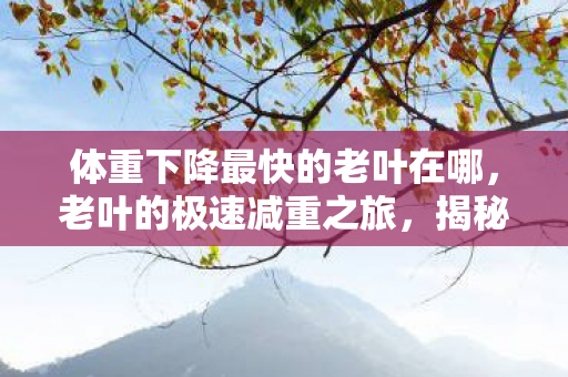 体重下降最快的老叶在哪图片