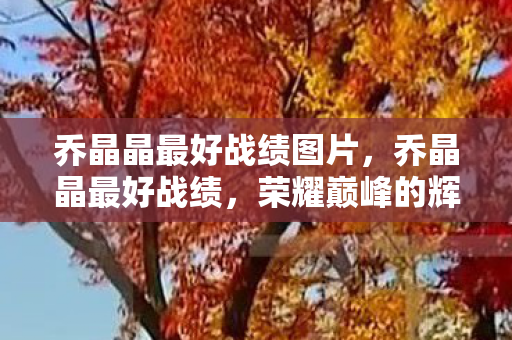 乔晶晶最好战绩图片图片
