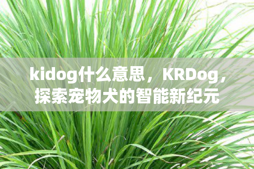 探索宠物犬的智能新纪元图片