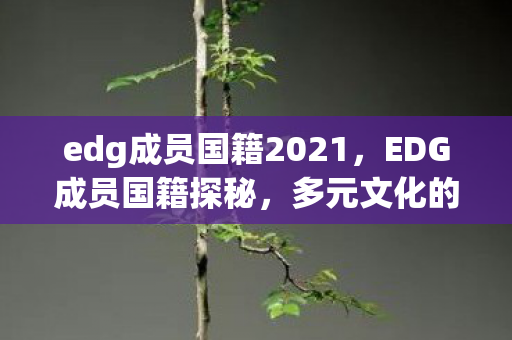 edg成员国籍2021图片
