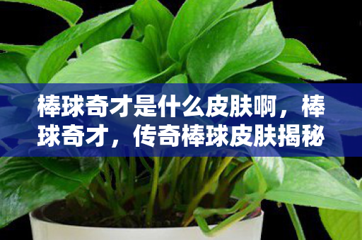 棒球奇才是什么皮肤啊图片