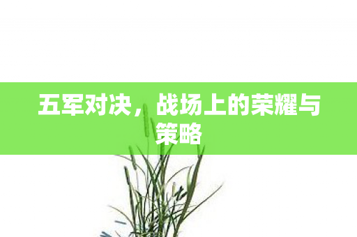 五军对决,战场上的荣耀与策略 五军对决,战场上的荣耀与策略