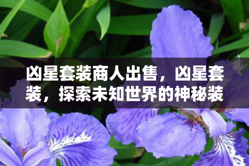探索未知世界的神秘装备图片