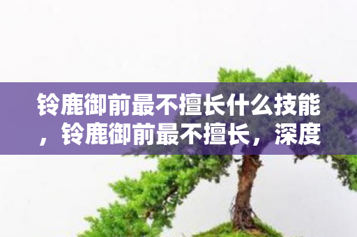 铃鹿御前最不擅长什么技能图片