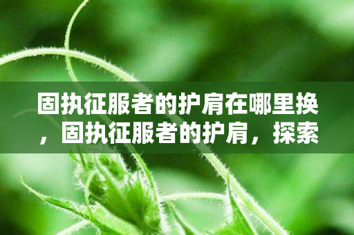 固执征服者的护肩在哪里换图片