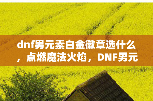 dnf男元素白金徽章选什么图片