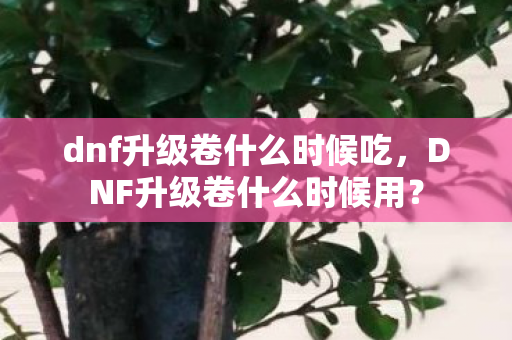 dnf升级卷什么时候吃图片