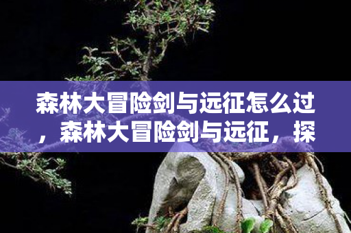 森林大冒险剑与远征怎么过图片