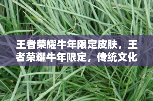 传统文化与现代游戏的完美融合图片