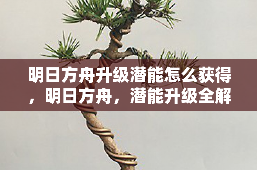 明日方舟升级潜能怎么获得图片