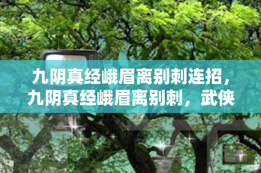 九阴真经峨眉离别刺连招，九阴真经峨眉离别刺，武侠世界中的绝世武技