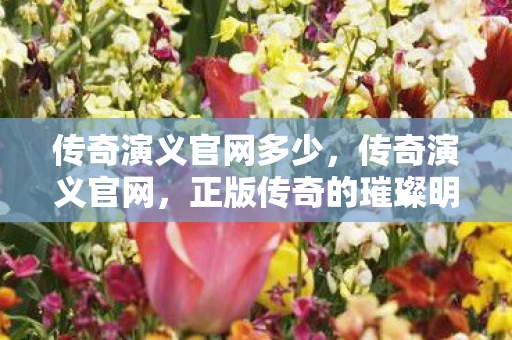 传奇演义官网多少,传奇演义官网,正版传奇的璀璨明珠 传奇演义官网多少,传奇演义官网,正版传奇的璀璨明珠