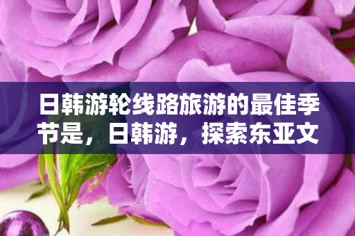 日韩游轮线路旅游的最佳季节是图片