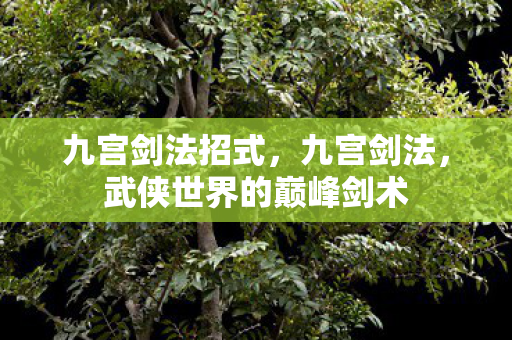 九宫剑法招式，九宫剑法，武侠世界的巅峰剑术
