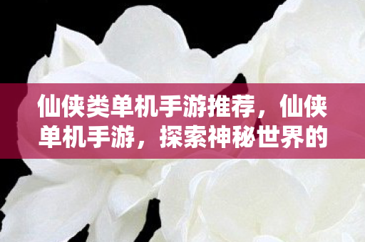 探索神秘世界的奇妙之旅图片