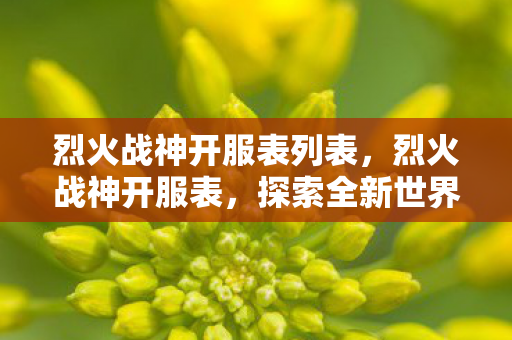 烈火战神开服表列表，烈火战神开服表，探索全新世界的无限可能