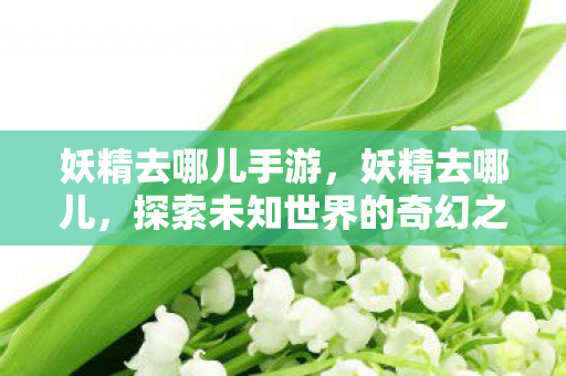 探索未知世界的奇幻之旅图片