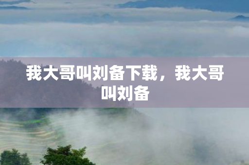 我大哥叫刘备下载图片
