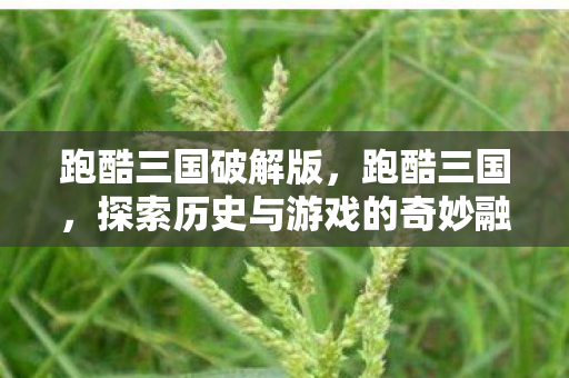 探索历史与游戏的奇妙融合图片