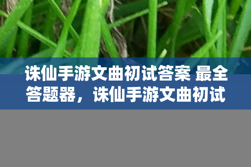 诛仙手游文曲初试答案 最全答题器图片