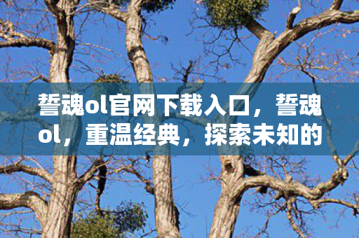 誓魂ol官网下载入口，誓魂ol，重温经典，探索未知的游戏世界