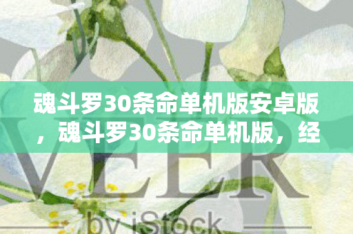 魂斗罗30条命单机版安卓版,魂斗罗30条命单机版,经典游戏的怀旧之旅 魂斗罗30条命单机版安卓版,魂斗罗30条命单机版,经典游戏的怀旧之旅