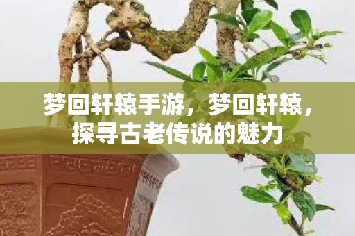 梦回轩辕手游,梦回轩辕,探寻古老传说的魅力 梦回轩辕手游,梦回轩辕,探寻古老传说的魅力