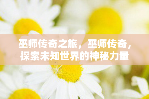 巫师传奇之旅，巫师传奇，探索未知世界的神秘力量