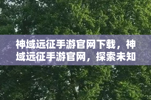 神域远征手游官网下载,神域远征手游官网,探索未知世界的奇幻之旅 神域远征手游官网下载,神域远征手游官网,探索未知世界的奇幻之旅