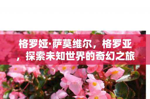 探索未知世界的奇幻之旅图片