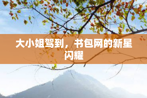 大小姐驾到,书包网的新星闪耀 大小姐驾到,书包网的新星闪耀