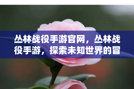 丛林战役手游官网,丛林战役手游,探索未知世界的冒险之旅 丛林战役手游官网,丛林战役手游,探索未知世界的冒险之旅