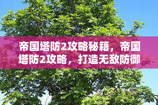 帝国塔防2攻略秘籍图片