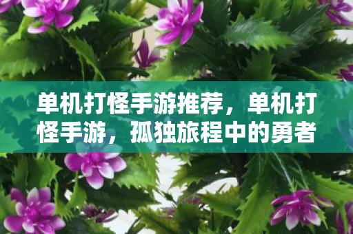 孤独旅程中的勇者之战图片