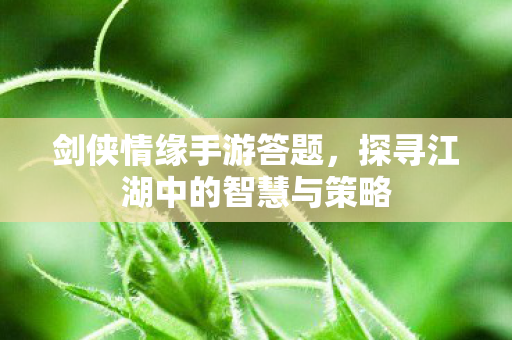 探寻江湖中的智慧与策略图片