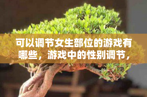 可以调节女生部位的游戏有哪些图片