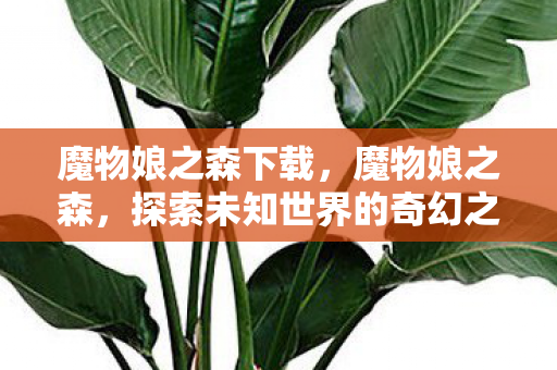 探索未知世界的奇幻之旅图片