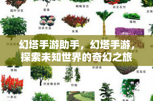 探索未知世界的奇幻之旅图片