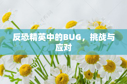 反恐精英中的BUG,挑战与应对 反恐精英中的BUG,挑战与应对