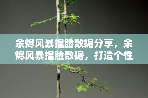 余烬风暴捏脸数据分享图片