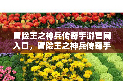 冒险王之神兵传奇手游官网入口图片