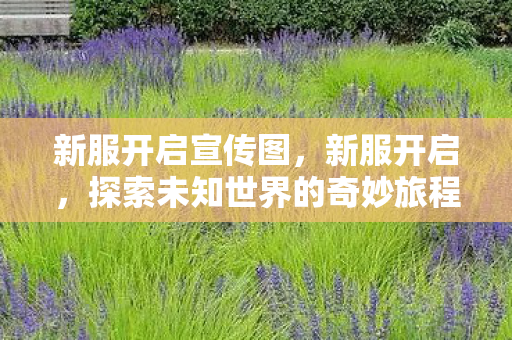 新服开启宣传图,新服开启,探索未知世界的奇妙旅程 新服开启宣传图,新服开启,探索未知世界的奇妙旅程