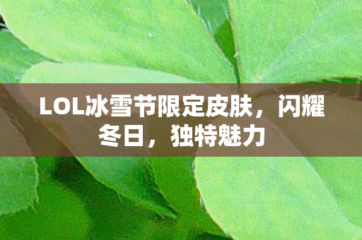 LOL冰雪节限定皮肤，闪耀冬日，独特魅力