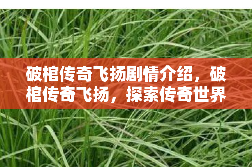 破棺传奇飞扬剧情介绍,破棺传奇飞扬,探索传奇世界的无限可能 破棺传奇飞扬剧情介绍,破棺传奇飞扬,探索传奇世界的无限可能