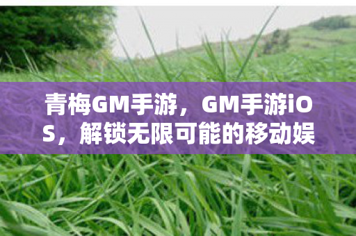 青梅GM手游,GM手游iOS,解锁无限可能的移动娱乐新纪元 青梅GM手游,GM手游iOS,解锁无限可能的移动娱乐新纪元