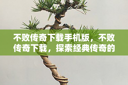 探索经典传奇的无限可能图片