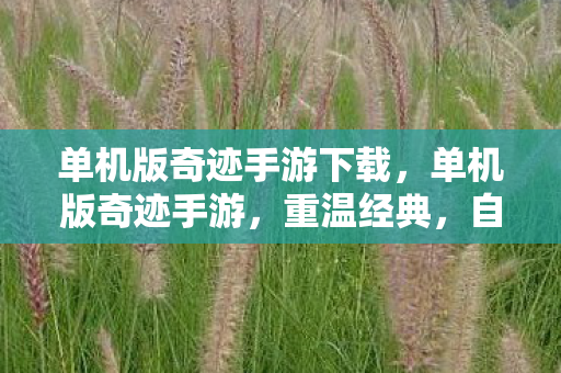 单机版奇迹手游下载,单机版奇迹手游,重温经典,自由探索的娱乐新选择 单机版奇迹手游下载,单机版奇迹手游,重温经典,自由探索的娱乐新选择