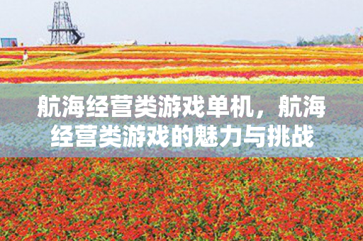 航海经营类游戏的魅力与挑战图片