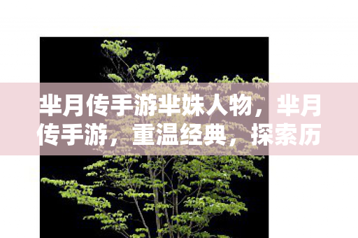 芈月传手游芈姝人物，芈月传手游，重温经典，探索历史新篇章