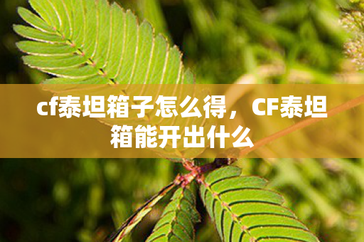 CF泰坦箱能开出什么图片